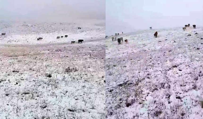 Erzurum’a yılın ilk karı yağdı!