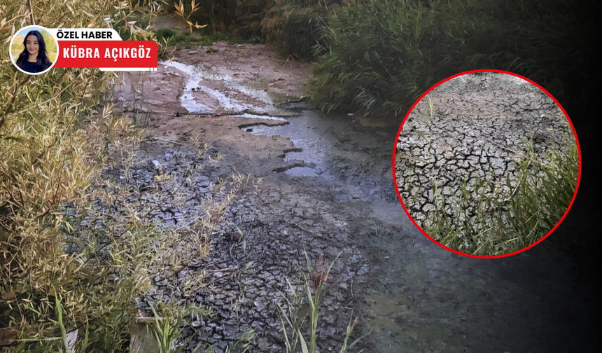 Ankara'da korkutan manzara: Mogan Gölü’nde sular çekildi!