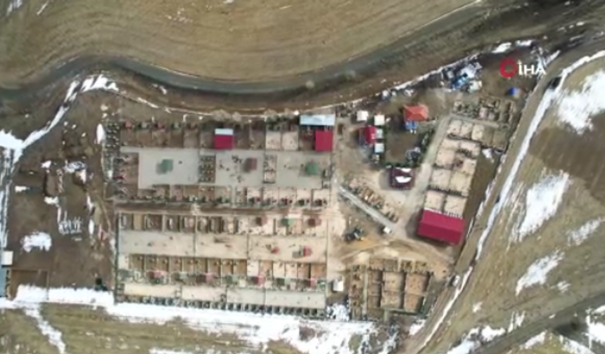 Yaşama Tutunan Patiler Derneğinin barınağı faaliyetlerine devam ediyor