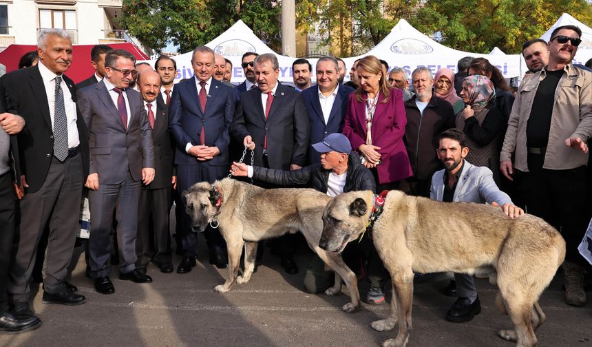 Keçiören'de Sivas Günleri coşkusu sürüyor