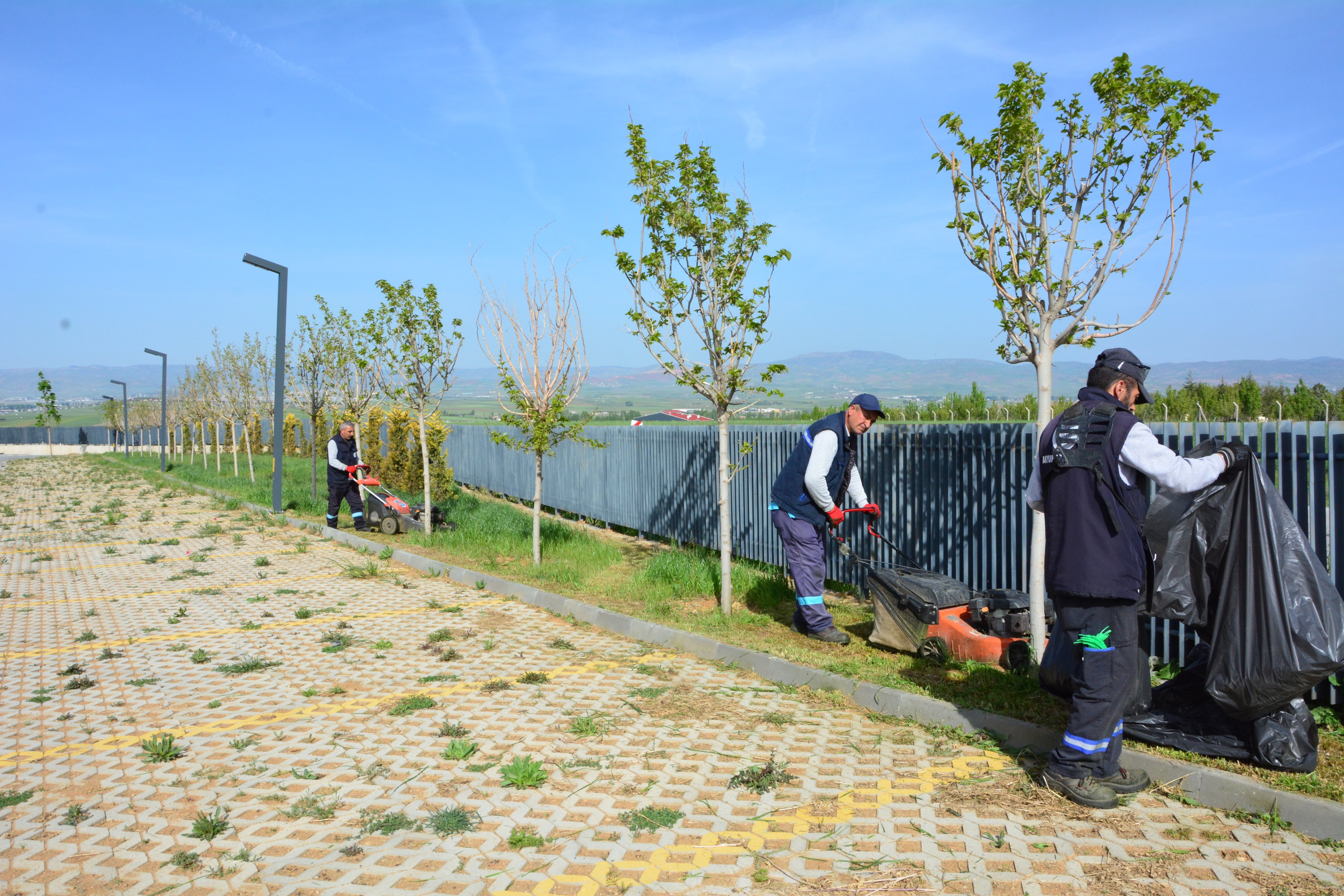 Akyurt Belediyesi’nden çim biçme çalışması (1)