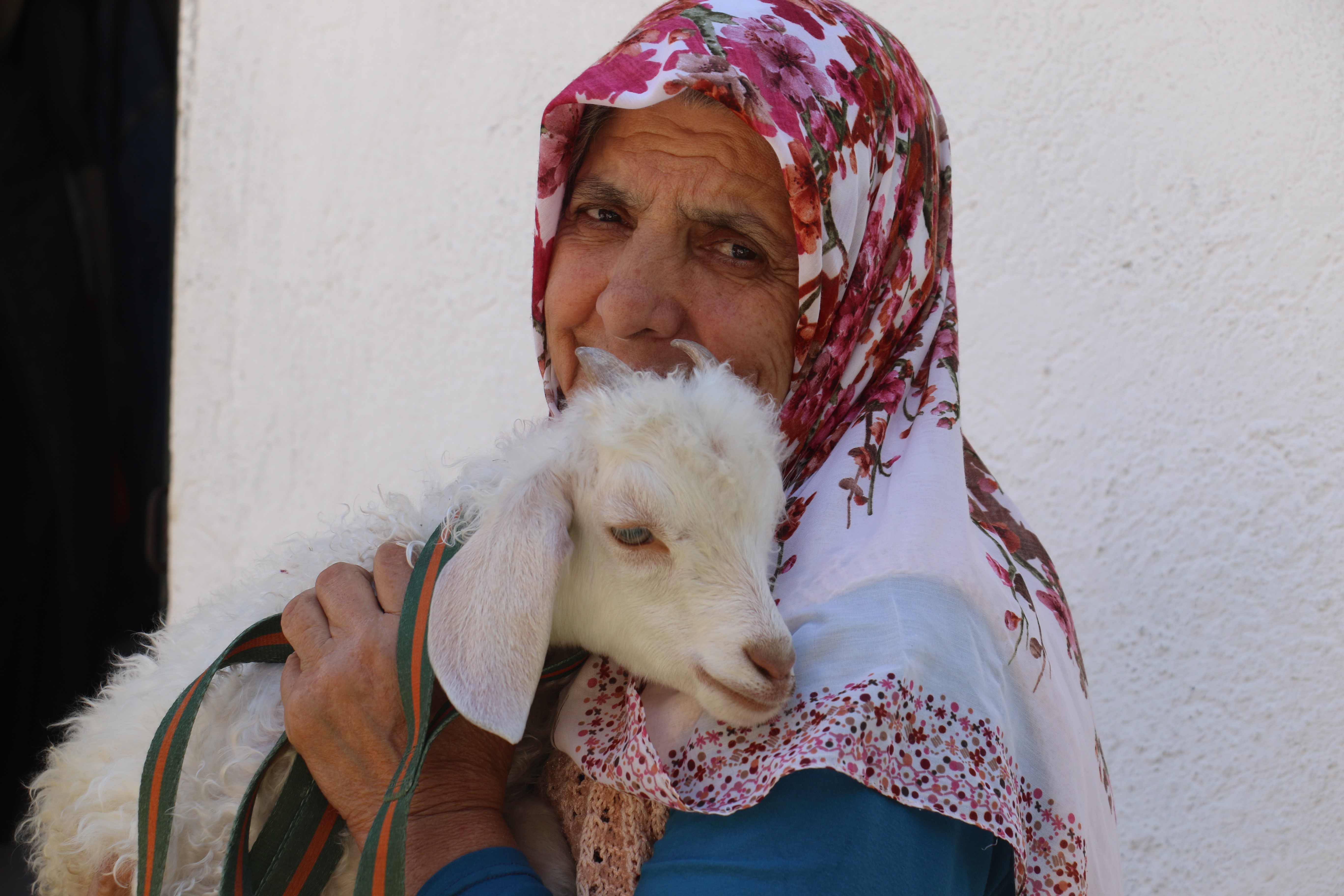 Kuzusuna bebek gibi bakıyor (3)