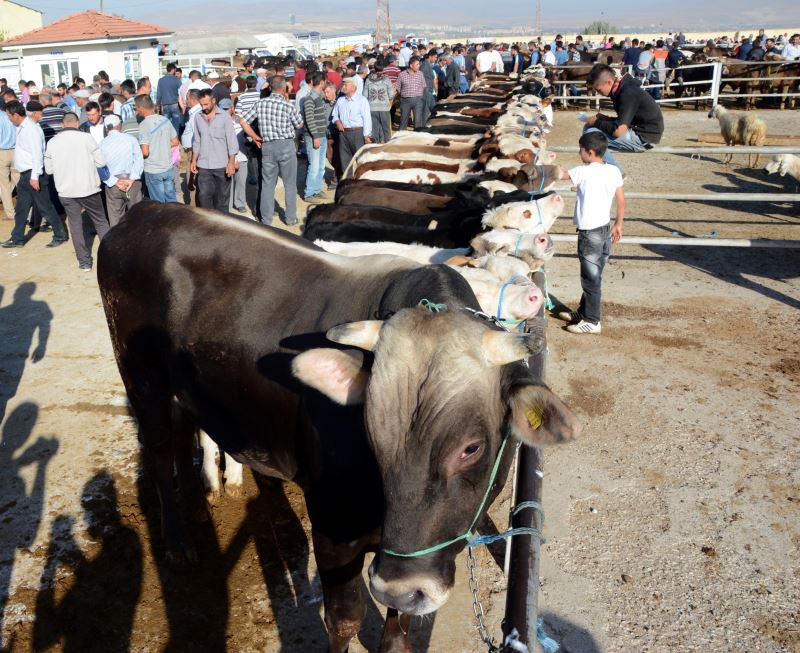 Gölbaşı'nda kurban pazarı yerleri belli oldu!-1