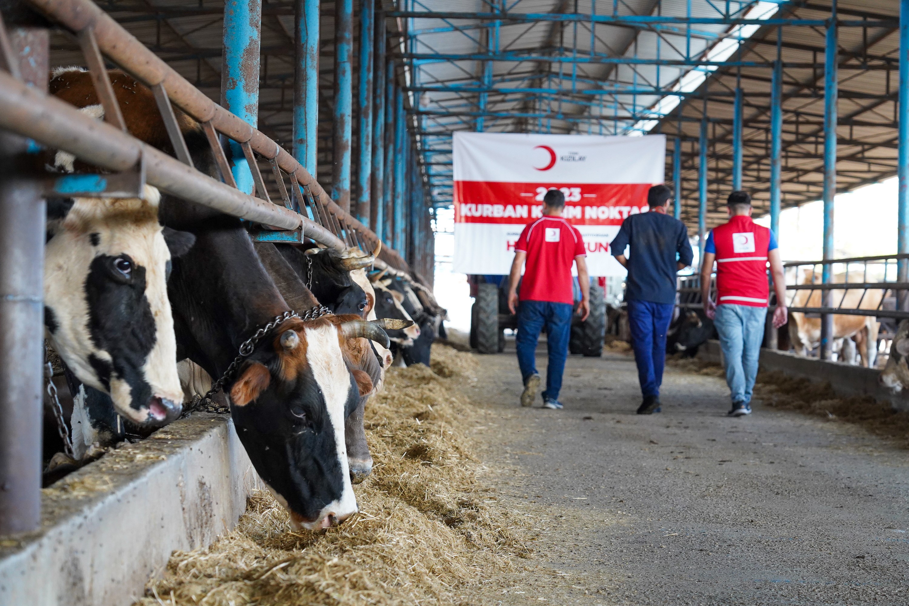 Kurban emanetleri ihtiyaç sahiplerine ulaşıyor (6)