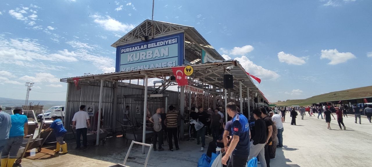 Kurban kesim alanında saatte 40 büyükbaş hayvan teslim ediliyor (3)