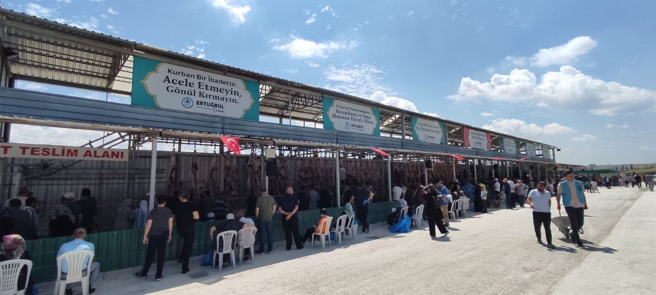 Kurban kesim alanında saatte 40 büyükbaş hayvan teslim ediliyor (4)