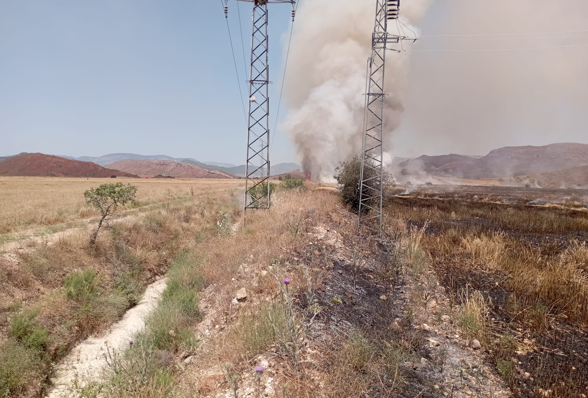 Nallıhan’da korkutan yangın Çalışmalar devam ediyor (3)