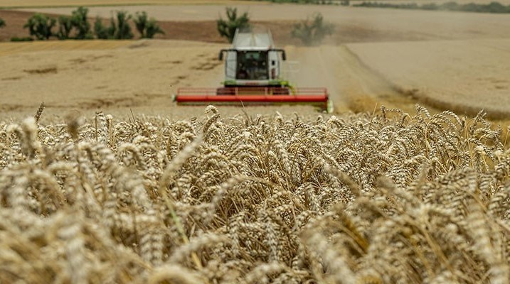 Polatlı Borsası buğday fiyatları ne kadar, 27 Haziran Polatlı Borsa fiyatları ne kadar-1