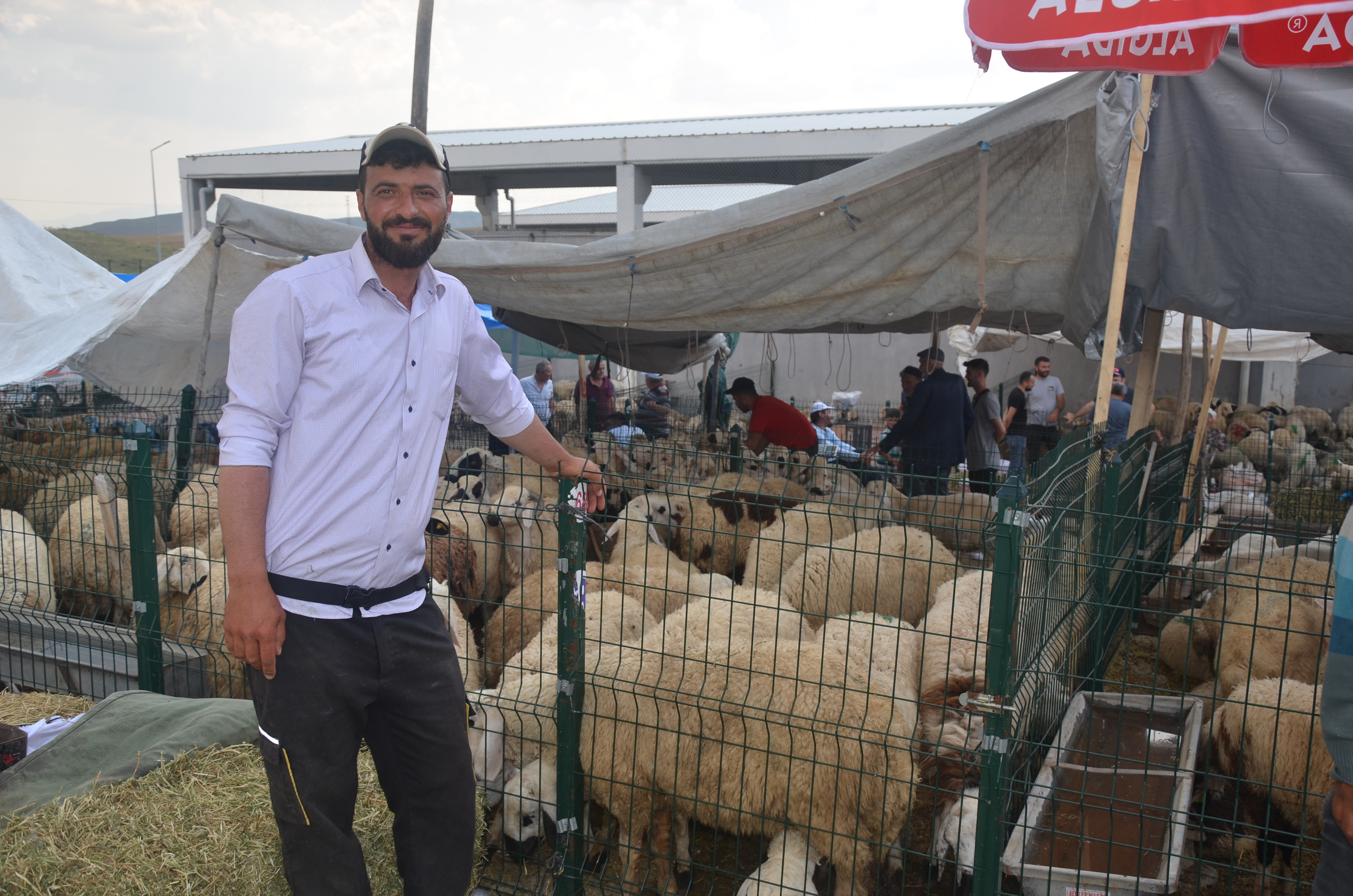 Polatlı Kurban Pazarı sınıfta kaldı!  Saman balyalarının üstünde uyuyoruz (2)