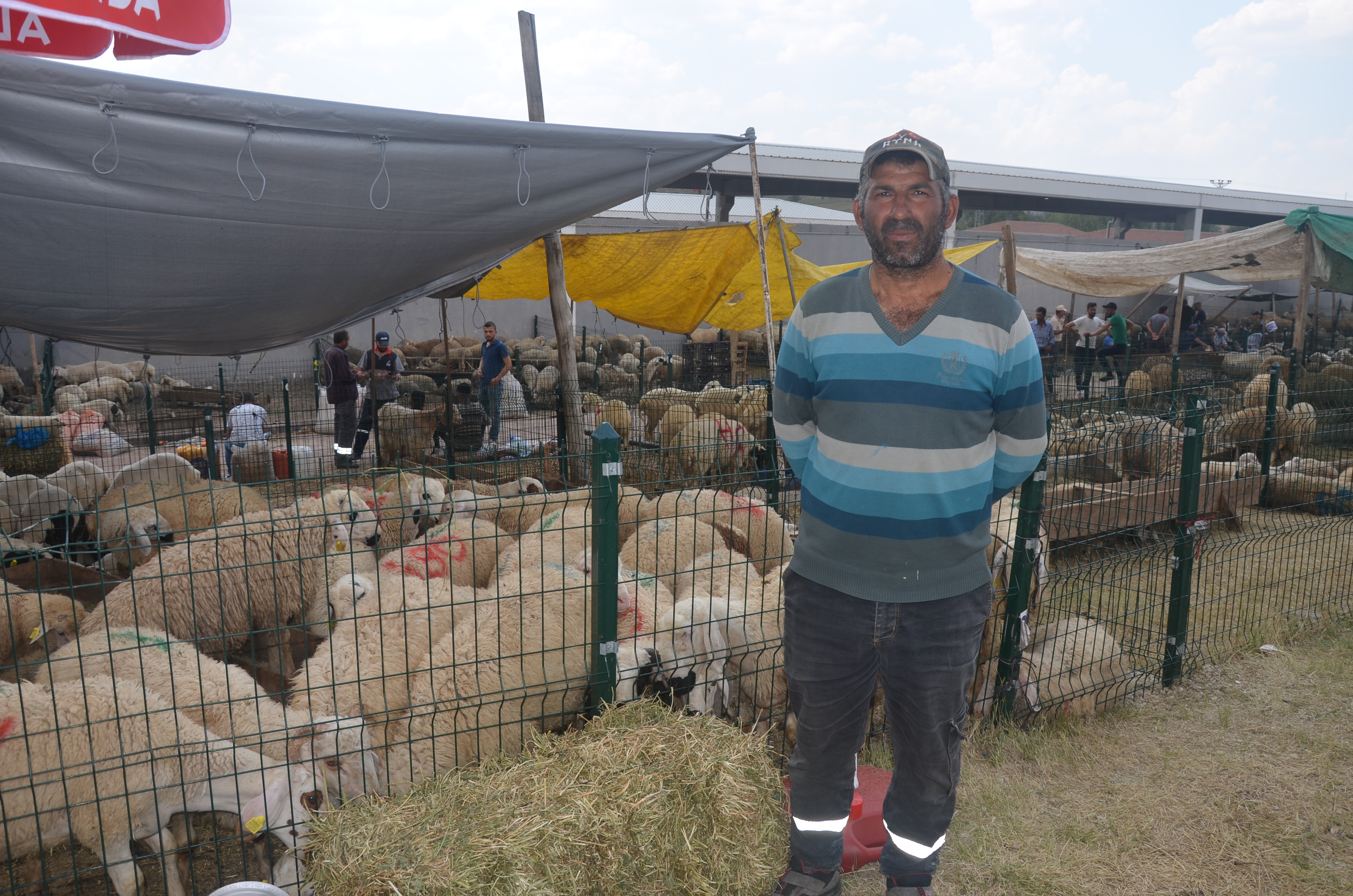 Polatlı Kurban Pazarı sınıfta kaldı!  Saman balyalarının üstünde uyuyoruz (3)