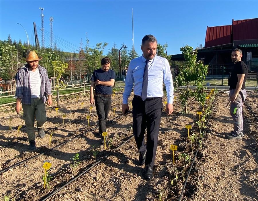 Yerli tohumlar toprakla buluştu (3)