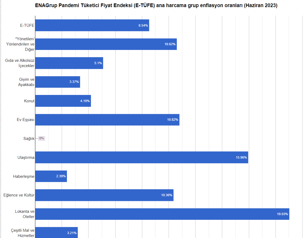 ENAG enflasyon verilerini açıkladı-1