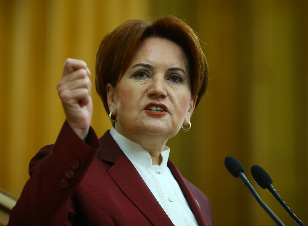 meral-aksener-derhal-emekli-olup-evine-gitmelidir (3)