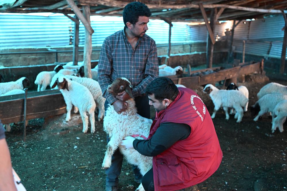 Afet bölgesindeki çiftçilere destek ödemesi yapıldı-3