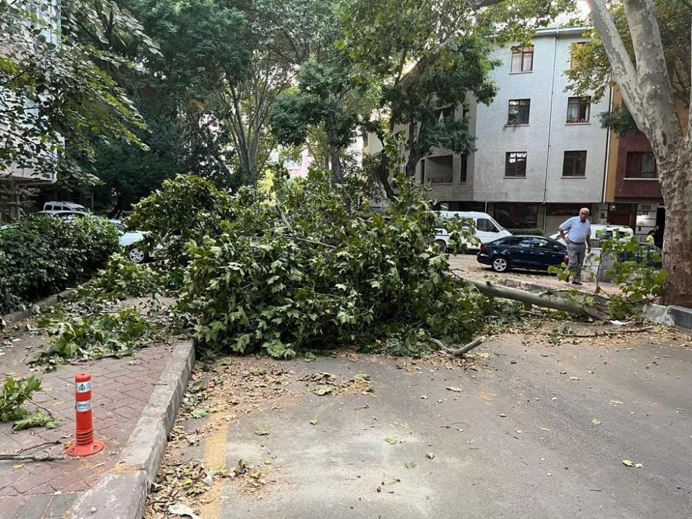 Ankara'da yaşanan fırtına sonucu ağaçlar araçların üzerine devrildi!-1