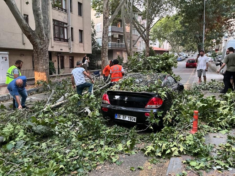 Ankara'da yaşanan fırtına sonucu ağaçlar araçların üzerine devrildi!-2