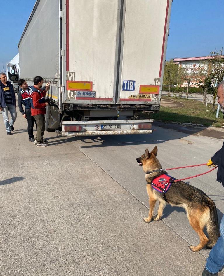 Bakan Yerlikaya duyurdu Sakarya ve Hatay’da 39 göçmen kaçakçısı organizatör yakalandı