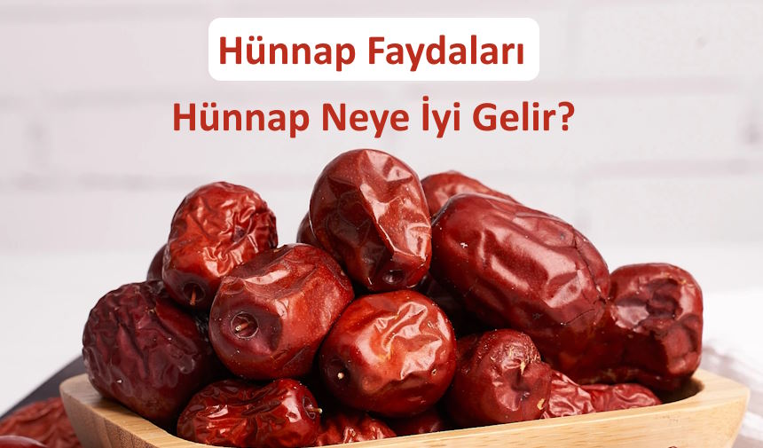 hunnap-faydalari-hunnap-neye-iyi-gelir