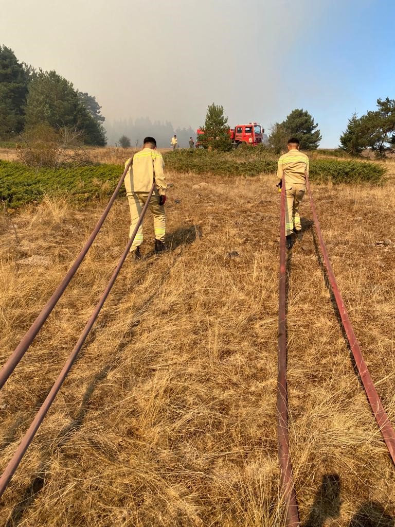 Bolu-Ankara sınırında orman yangını Müdahale sürüyor (2)