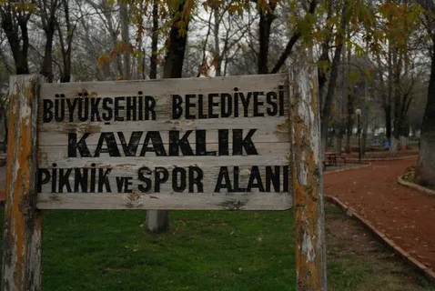 Kavaklı Aile piknik alanı-1