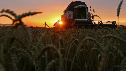 tahıl anlaşma rusya
