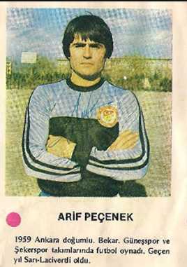 Arif Peçenek1