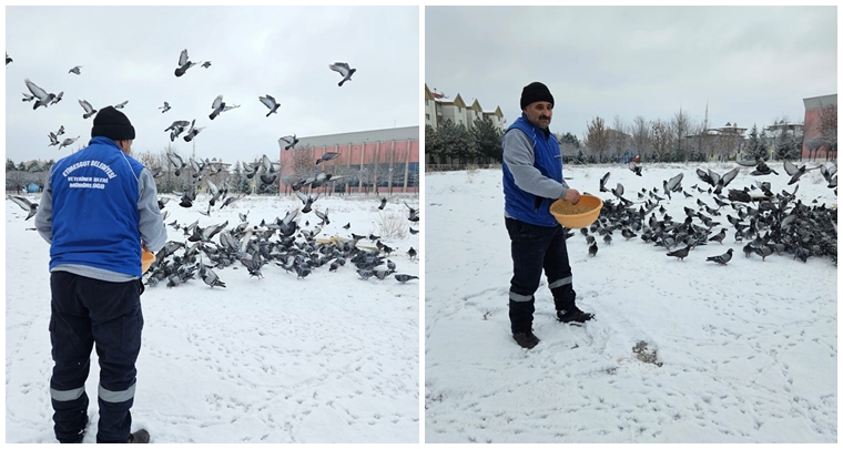 Etimesgut Belediyesi 'Sokak Hayvanlarını Karda Kışta Aç Bırakmıyoruz' Dedi (5)