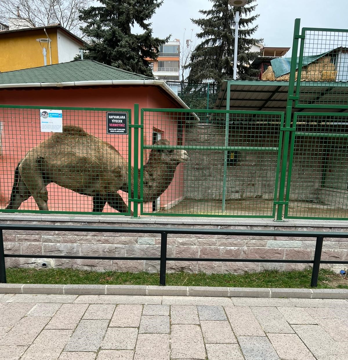 Keçiören Evcil Hayvanlar Parkı0