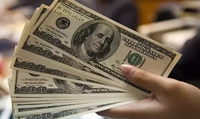 Baş Ekonomist Resmen Açıkladı! Dolar, Yıl Sonunda Rekor Kıracak (5)