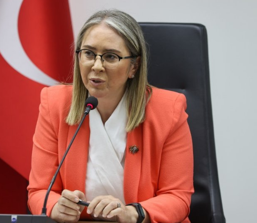 Ceyda Çankırı