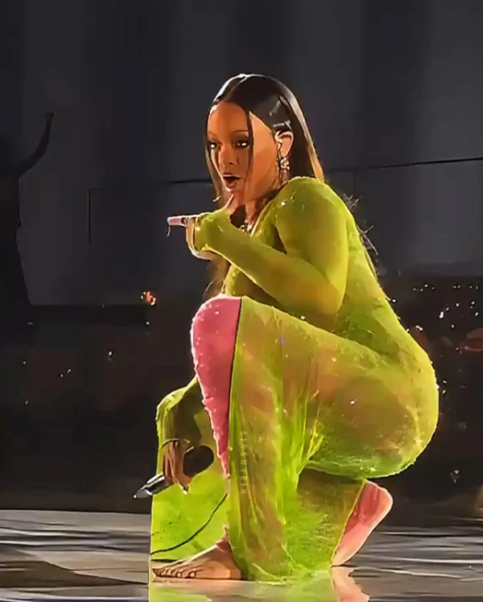 Rihanna’dan Hindistan'ın En Zengin Ailesinin Düğününde Muhteşem Performans Servetine Servet Kattı! (3)