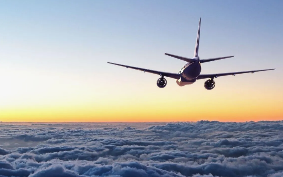 Kural Tanımayan Yolcuların Sayısında Artış! Uçak Havadayken Kapısını Açmaya Çalıştı (1)
