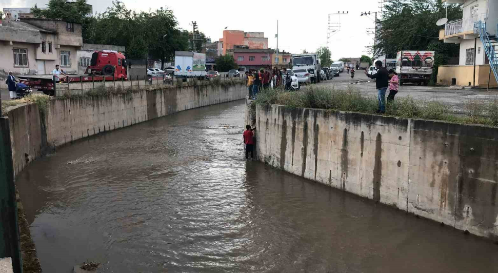 Kediyi Kurtarmak İçin Dereye İnen Genç, Kendi De Mahsur Kaldı 