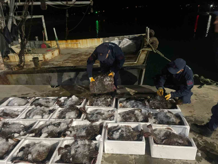 Sinop'ta İllegal Avcılığa Son 880 Kalkan Balığına El Konuldu  (1)
