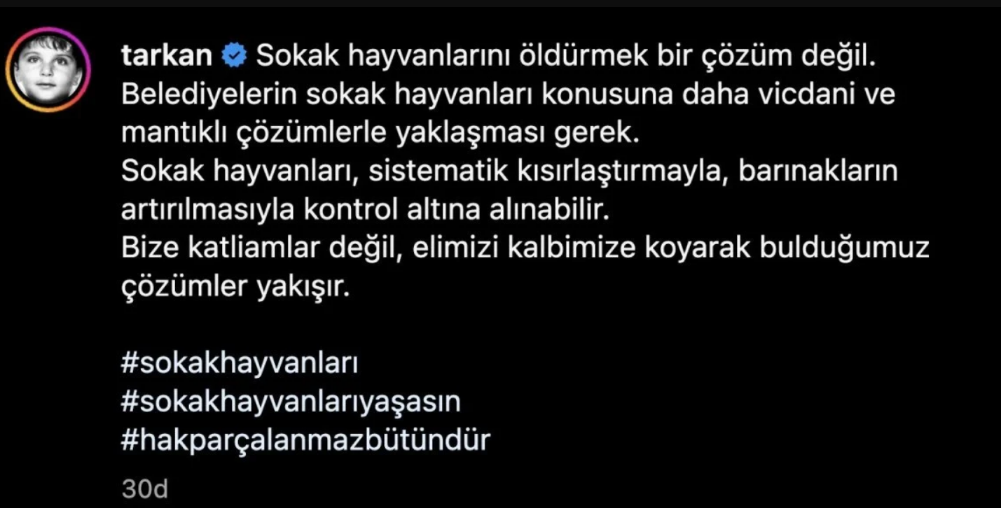 Tarkan Belediyelere Seslendi! “Sokak Hayvanlarını Öldürmek Çözüm Değil” (1)