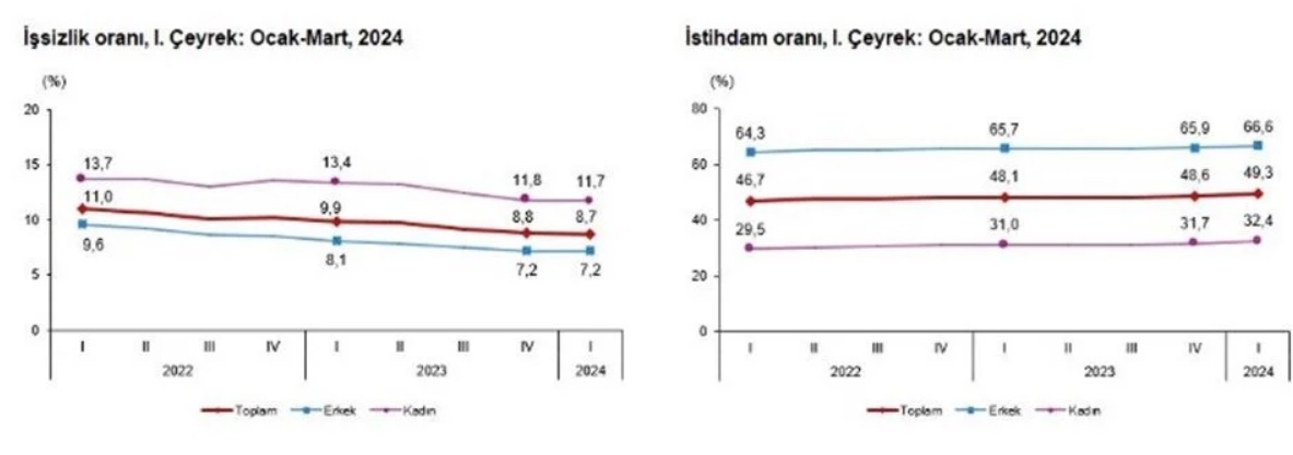 Tuik Issizlik