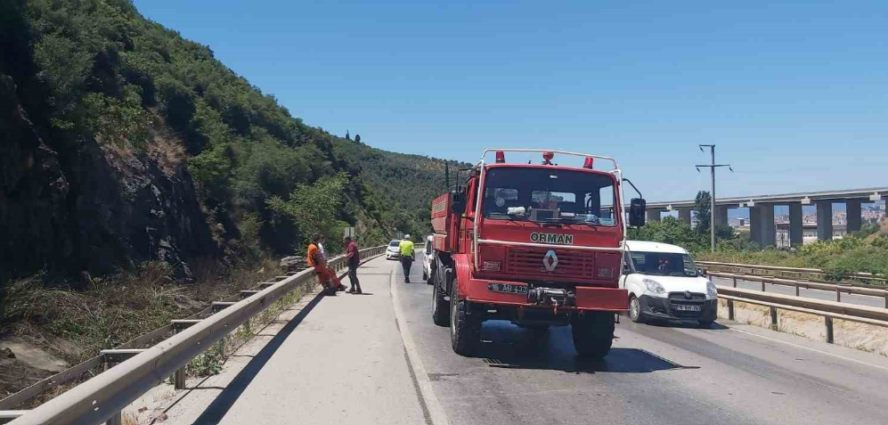 Akli Dengesi Bozuk Kişi Ormanın Yanındaki Çalıları Ateşe Verdi (2)