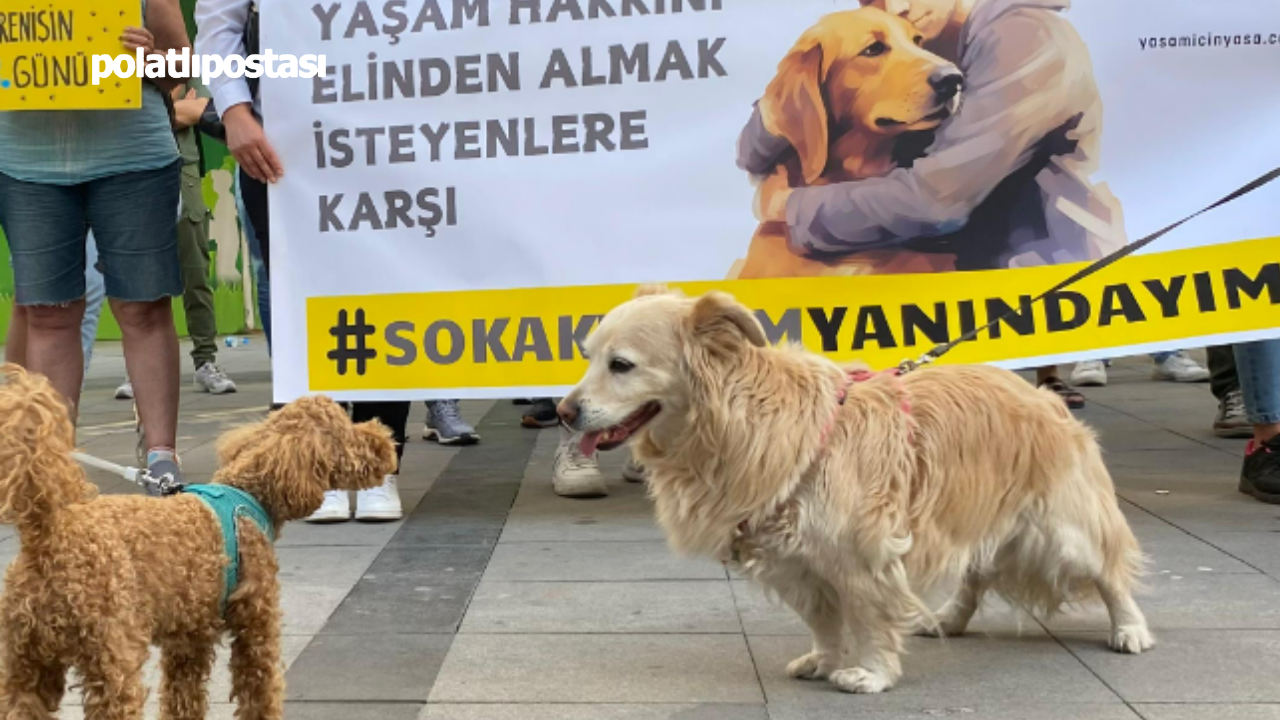 Hayvan Hakları Savunucuları Başkent Sokaklarında (1)-1