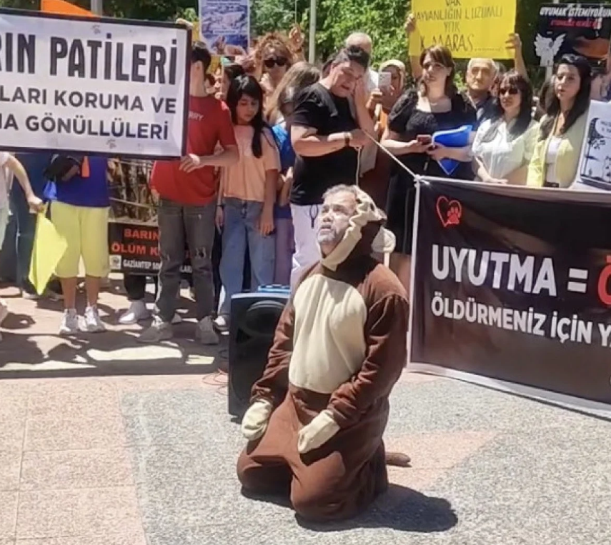 Hayvanseverlerden Köpek Kostümlü Protesto  (2)