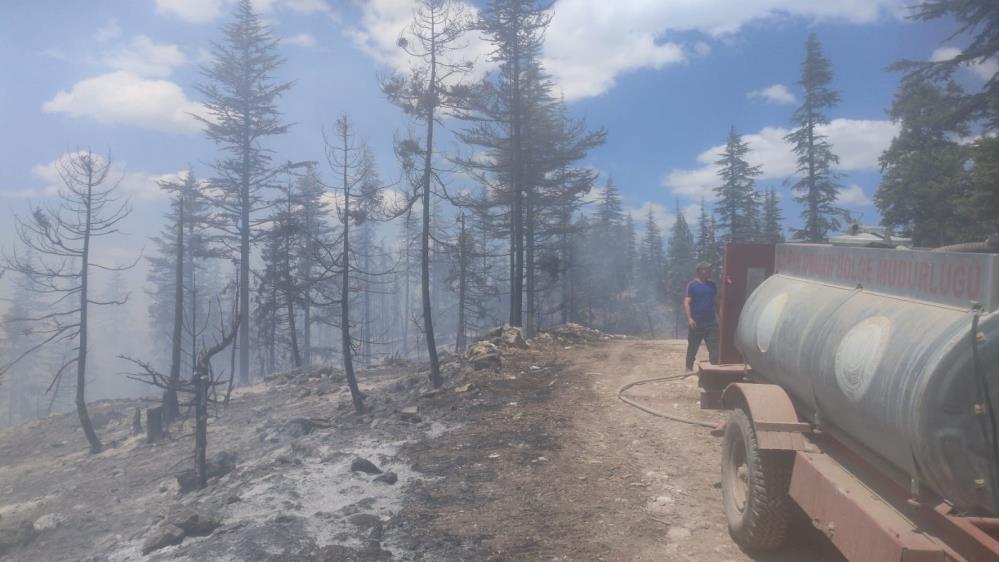Karaman’da Çıkan Orman Yangınına Müdahale Devam Ediyor 3