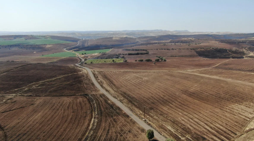 Mardin Ve Diyarbakır'daki Yangınların Sebebi Belli Oldu! (1)