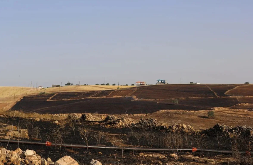 Mardin Ve Diyarbakır'daki Yangınların Sebebi Belli Oldu! (2)