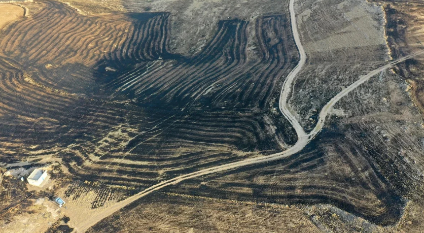 Mardin Ve Diyarbakır'daki Yangınların Sebebi Belli Oldu! (3)