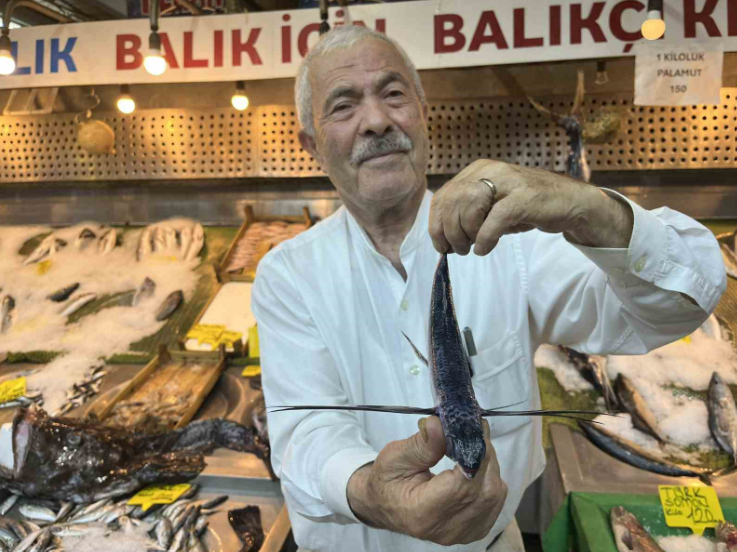 Marmara Denizi'nde Ilk Kez Uçan Balık Görüldü (2)