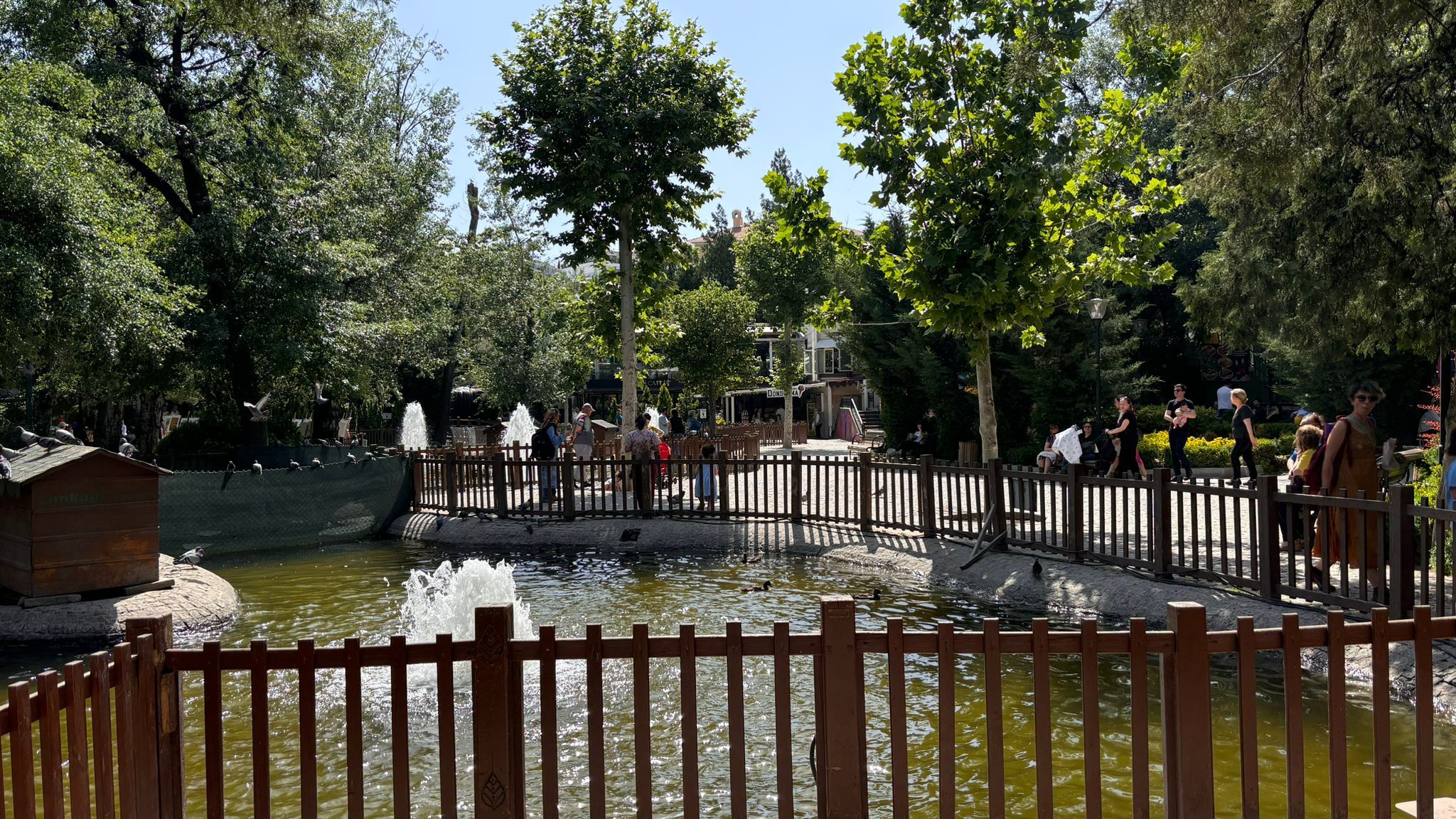 Sıcaklardan Kaçış Noktası 'Kuğulu Park'  (3)