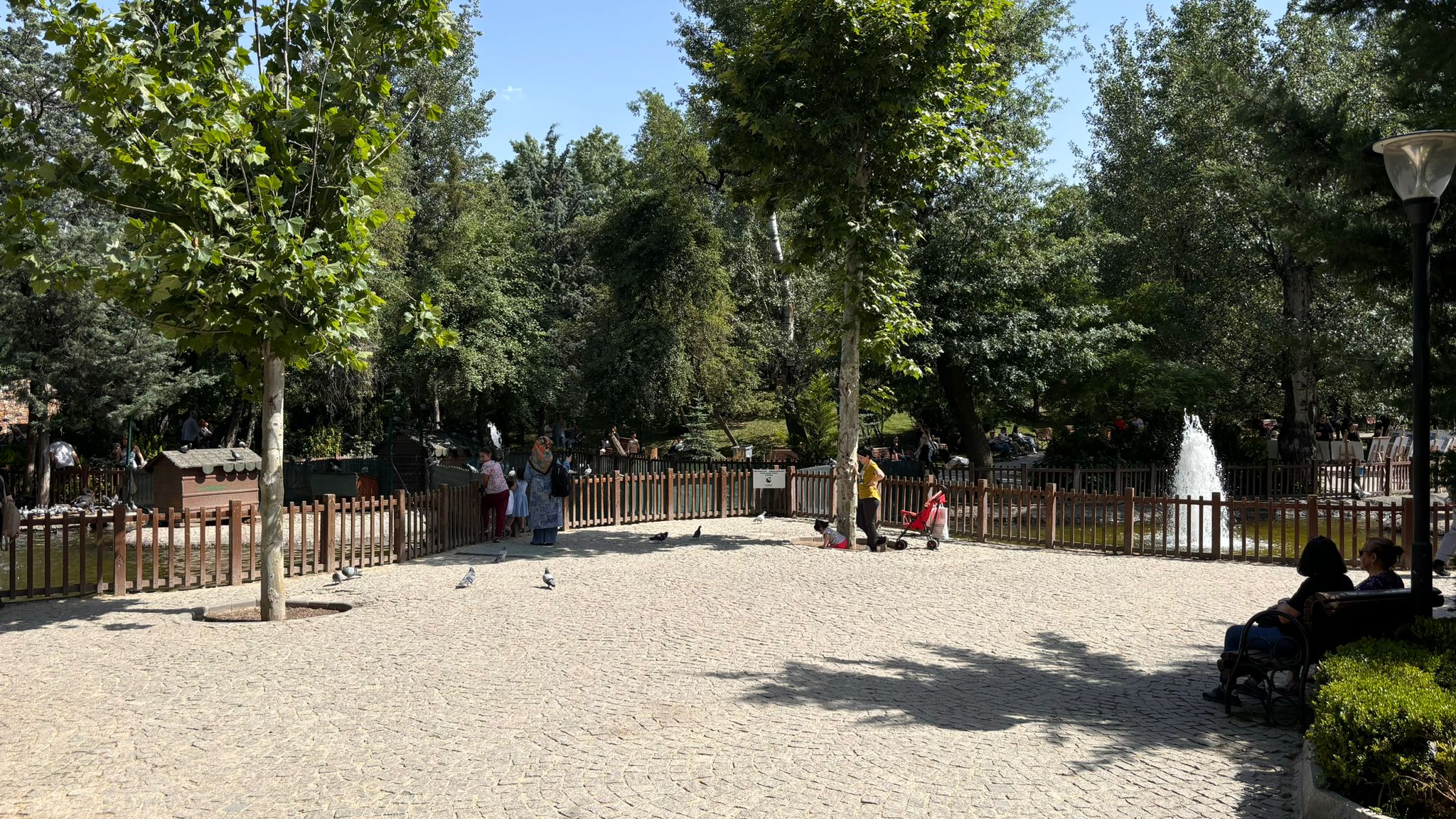 Sıcaklardan Kaçış Noktası 'Kuğulu Park'  (4)