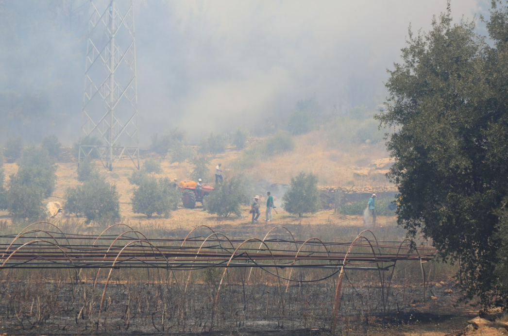 Antalya'da Çıkan Yangın Yerleşim Yerlerine Sıçradı (2)