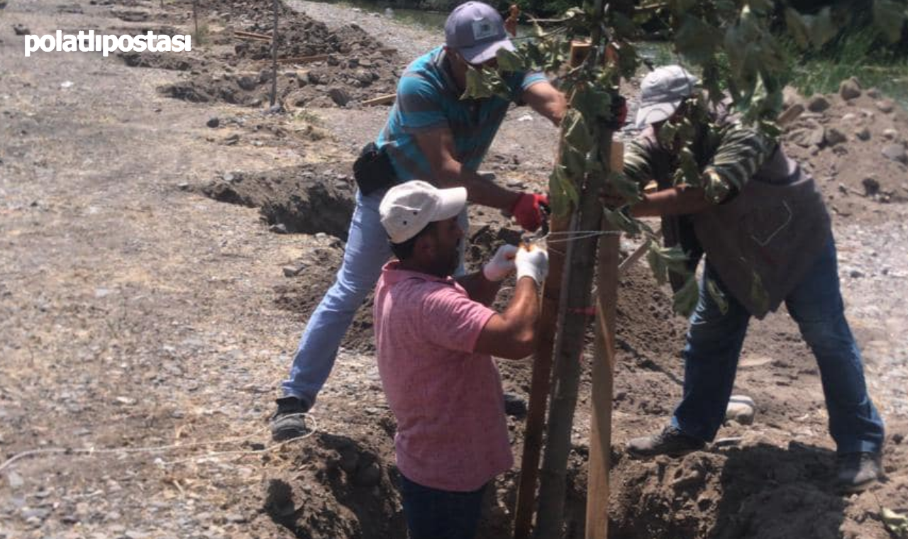 Güdül Belediyesi Çalışmalarına Aralıksız Devam Ediyor (1)