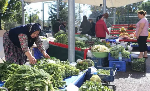 Kahramankazan Köylü Pazarı, Doğal Ürünler Hizmetinizde! 2