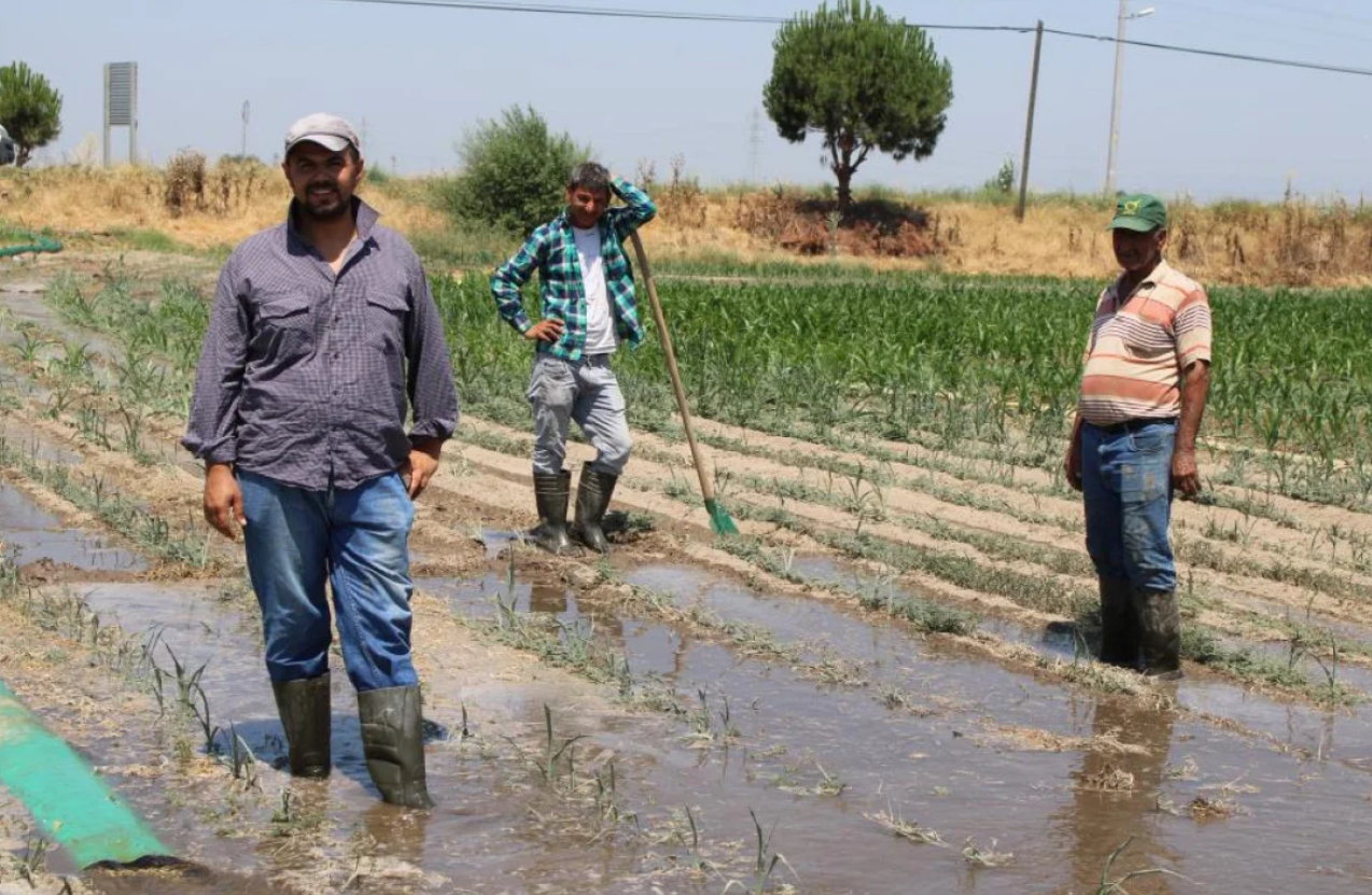 O Ilde Tarım Sektörü Eleman Krizi Yaşıyor Günlük Yevmiye 2 Bin Tl’ Ye Çıktı (2)